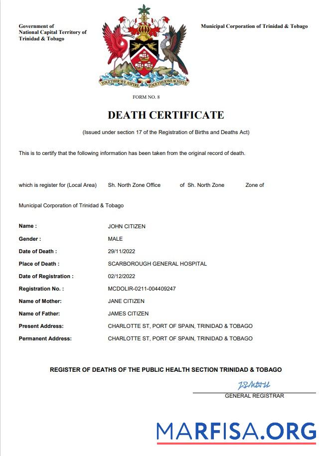 Printable Trinidad and Tobago death certificate Word and PDF template